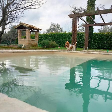 Ca' Le Cerque, Villa Surrounded By The Marche Nature Fossombrone Buitenkant foto