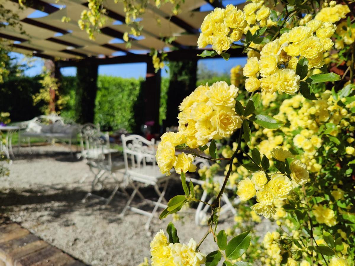 Ca' Le Cerque, Villa Surrounded By The Marche Nature Fossombrone Buitenkant foto