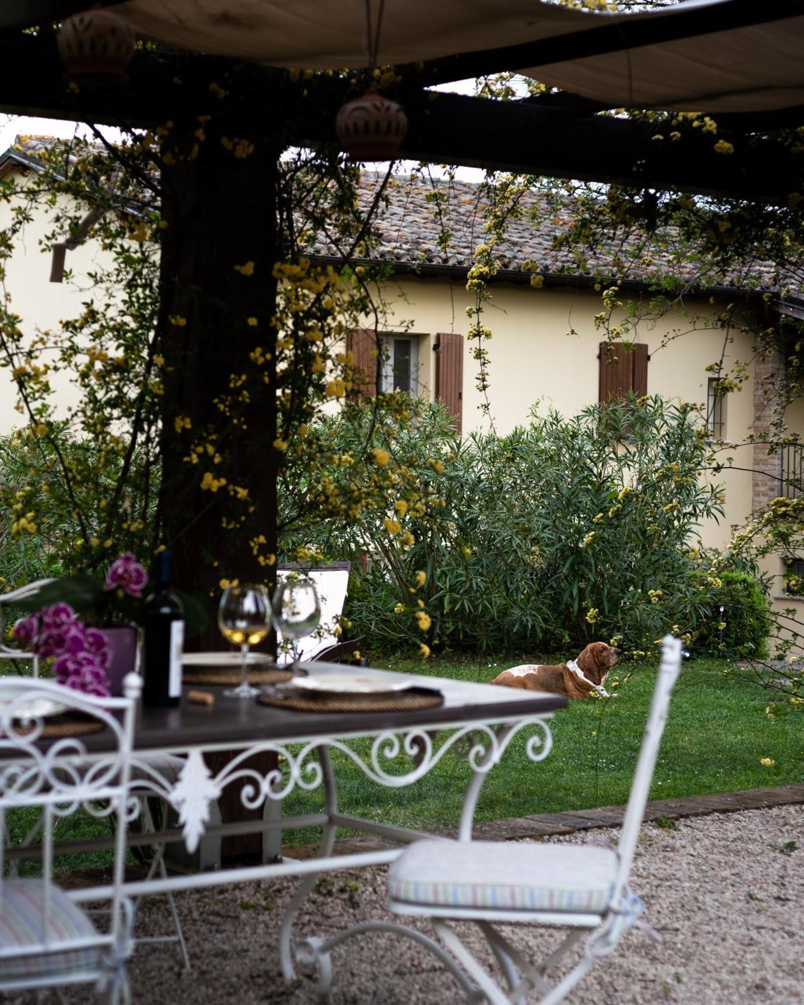 Ca' Le Cerque, Villa Surrounded By The Marche Nature Fossombrone Buitenkant foto