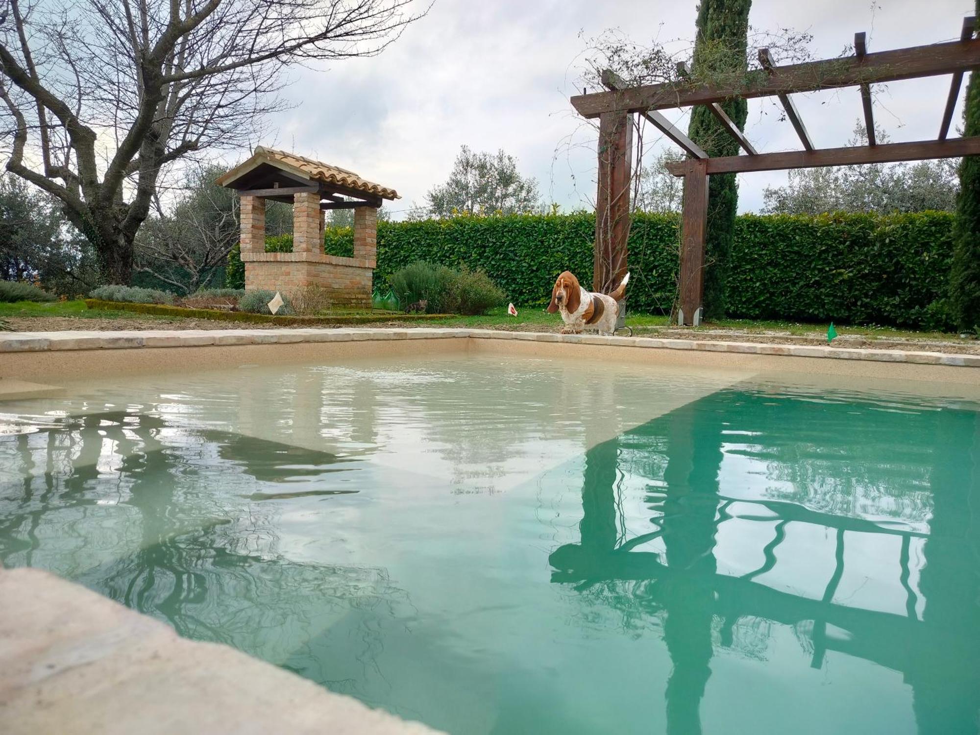 Ca' Le Cerque, Villa Surrounded By The Marche Nature Fossombrone Buitenkant foto